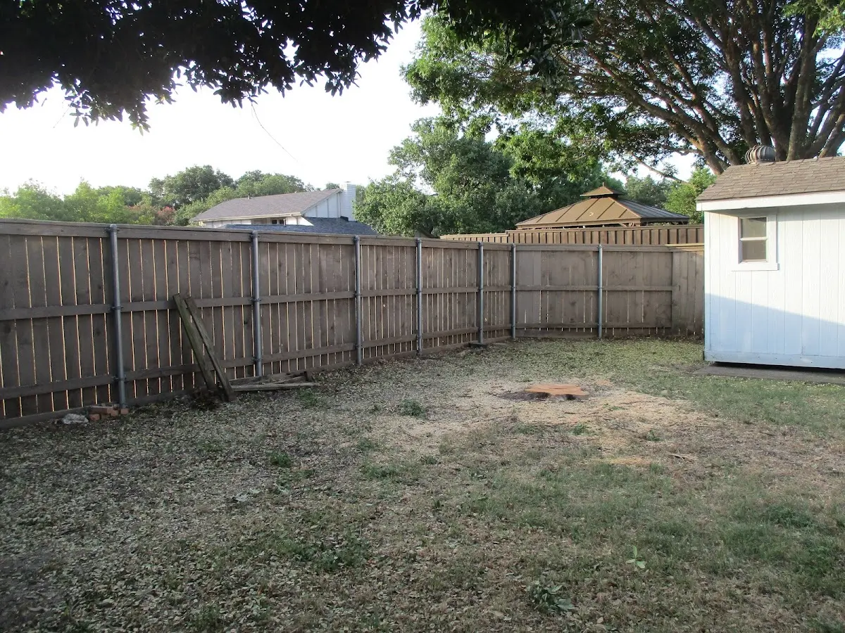 Cleared yard after professional tree removal in Margaretville